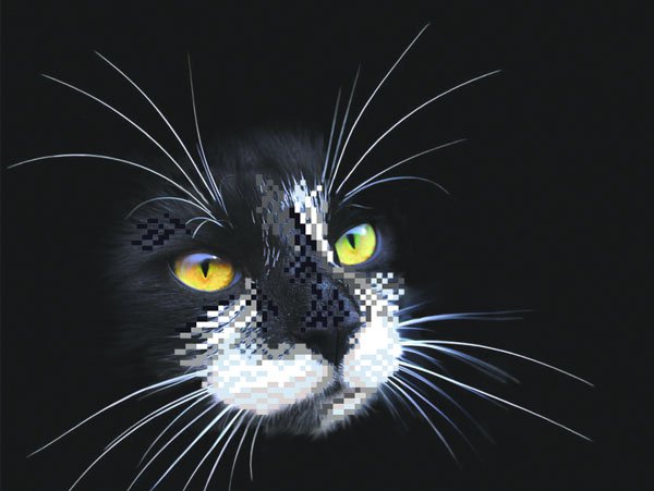 картинка Рисунок на шелке для вышивания бисером "Черный кот" арт.4102 от магазина Юхобби
