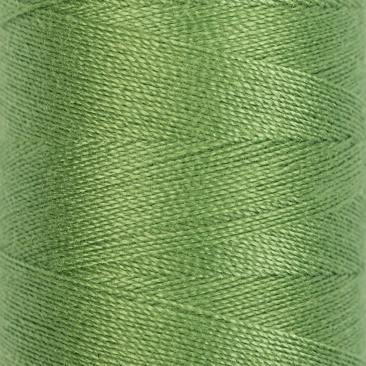 картинка Нитки швейные  40/2 "Gamma" 400 ярд.(365м) цв.№207 блекло-зеленый от магазина Юхобби
