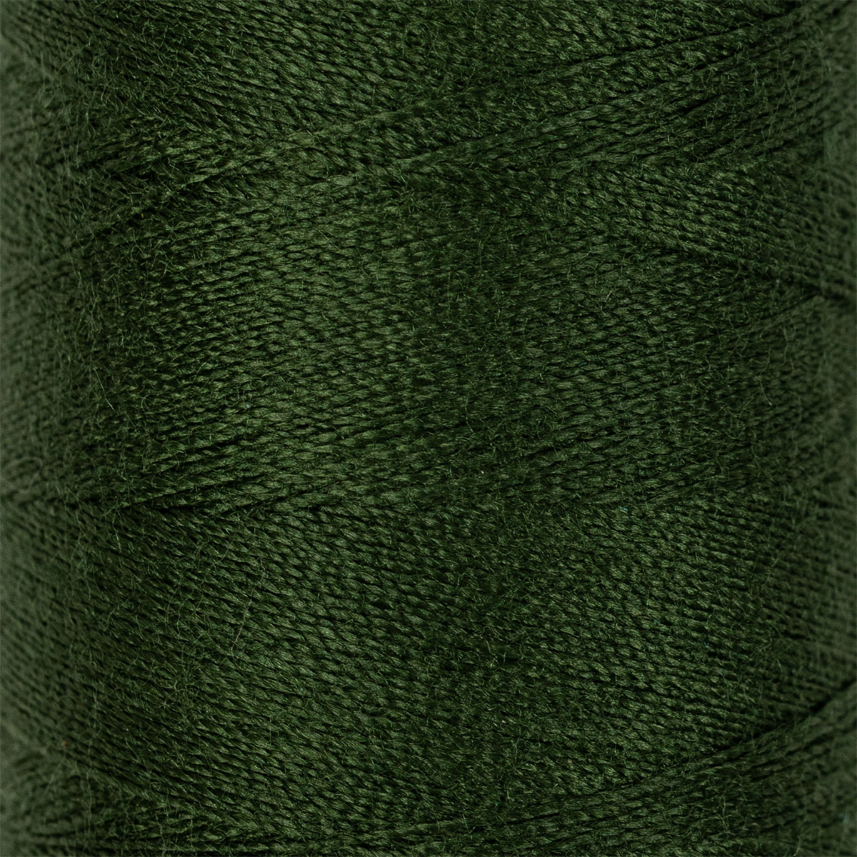 картинка Нитки швейные  40/2 "Gamma" 400 ярд.(365м) цв.№221 тем.зеленый от магазина Юхобби